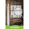 E-kniha Hľadanie pravdy - Dušan Čaplovič