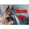 Pozorpes.sk, výstražná tabuľka (Nemecký ovčiak)