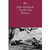 Tortilla Flat (John Steinbeck,Elisabeth Rotten)(Brožovaná)