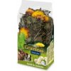 Grainless Snack PLUS kamilka a púpava 100 g JR Farm