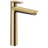 Hansgrohe 71717990