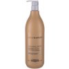 L'Oréal Expert Absolut Repair Gold Quinoa Shampoo 500 ml