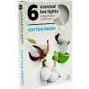 Admit Čajové vonné sviečky (6ks) - Cotton Fresh