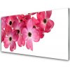 Obraz na akrylátovom skle Kvety 100x50 cm