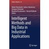 Intelligent Methods and Big Data in Industrial Applications (Robert Bembenik,Lukasz Skonieczny,Grzegorz Protaziuk,Marzena Kryszkiewicz,Henryk Rybinski)(Pevná)