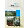 Uplatnění břízy a osiky při obnově a tvorbě lesa po disturbancích - Antonín Martiník