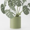 Monstera Magnetica – 3D Tlačená Dekorácia & Podložky pod Poháre Farba listov: zelená, Vyber typ kvetináča: Wave, Vyber farbu kvetináča: oliva