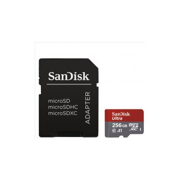 SanDisk microSDXC 256GB UHS-I SDSQUAR-256G-GN6MA