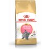 Royal Canin British Shorthair Kitten Hmotnost: 10 kg