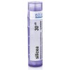 Silicea gra.1 x 4 g 30CH