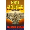 Divine Encounters (Z. Sitchin)(Brožovaná)