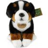 Rappa Plyšový pes bernský salašnícky sediaci 25 cm ECO-FRIENDLY