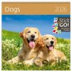 Nástěnný kalendář Dogs 2026 - Helma