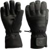Blizzard Vertex ski gloves black