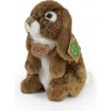 Rappa Plyšový pes labrador 18 cm ECO-FRIENDLY
