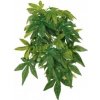 HapPet Abutilon 20x30 cm