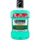 Listerine Teeth & Gum Defence ústna voda proti zubnému povlaku a pre zdravé ďasná príchuť Fresh Mint (Mouthwash) 1000 ml