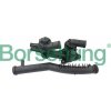 Termostat chladenia Borsehung B19086