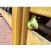 Kunagone Odpudzovač mačiek 2ks