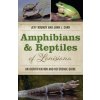 Amphibians and Reptiles of Louisiana (Jeff Boundy,John L. Carr)(Brožovaná)