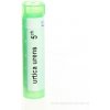 Urtica Urens gra.1 x 4 g 5CH