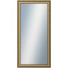 DANTIK - Zrkadlo v rámu, rozmer s rámom 50x100 cm z lišty DOPRODEJMETAL AU prohlá velká (3022)