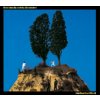 COSTELLO ELVIS & THE ATT: GOODBYE CRUEL WORLD HQ LP