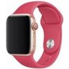 DEVIA REMIENOK APPLE WATCH 44MM 6938595324970