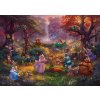 Schmidt PQ Puzzle 1000 dielikov THOMAS KINKADE Robin Hood (Disney)
