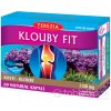 TEREZIA KĹBY FIT - 60 cps