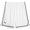 Puma Hoops Team Game short 676629-02