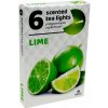 Parafínová sviečka tealight LIME Admit 6 ks