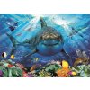 EDUCA Puzzle Biely žralok 500 dielikov