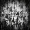 CD Floris Kappeyne Trio - INTERCHANGE