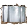 Nálepka fototapeta 3D výhled Hmla v lese 95x64 cm
