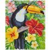 Diamantové maľovanie - Tukan