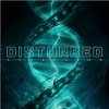 Disturbed - Evolution