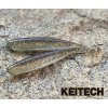 KEITECH Easy Shiner 3,5