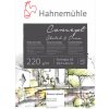 Hahnemühle skicár CONCEPT SKETCH & DRAW 220 gsm 20 listov A3