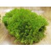 Nový Mood moss – light green - výhodné balenie