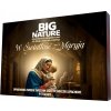 Big Nature Adventný kalendár sviečky sójové „Do Svetla s Máriou“
