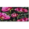 Foto obraz akrylový na stenu Ružové pivónie 100x50 cm