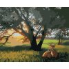 Zuty – Maľovanie Podľa Čísel – Jeleň Pod Stromom (D. Rusty Rust), 40 × 50 cm, Plátno + Rám 8596530167938