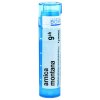 Arnica Montana gra.1 x 4 g 9CH