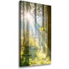 Vertikálny foto obraz canvas Slnko v lese 50x100 cm