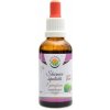 Salvia Paradise Krpčiarka Epimedium AF tinktúra 50 ml