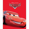ESD Disney Pixar Cars ESD_11271