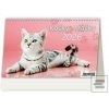 Kočky 2026 - stolní kale…