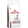 Royal Canin VD Canine Hepatic 2 x 12 kg