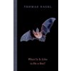 What is it Like to be a Bat? (Hardback)